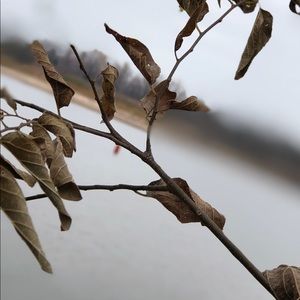 Meet your Posher, Malak